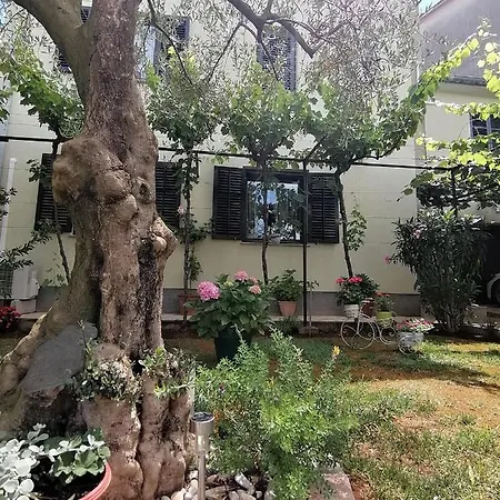Apartment Oliva *