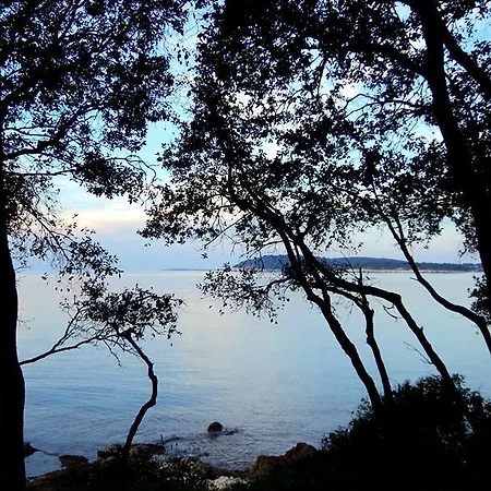 Апартаменты Oliva *