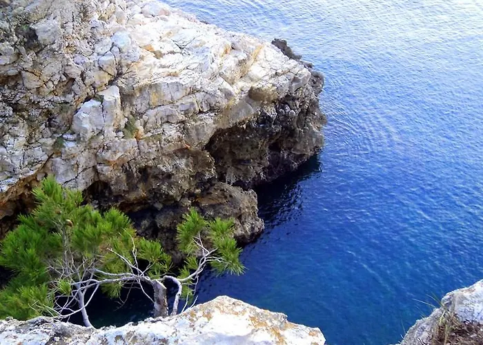 Oliva Pula