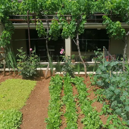 Appartement Oliva *