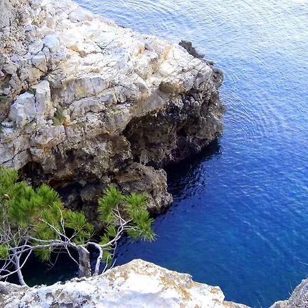 Oliva Πούλα