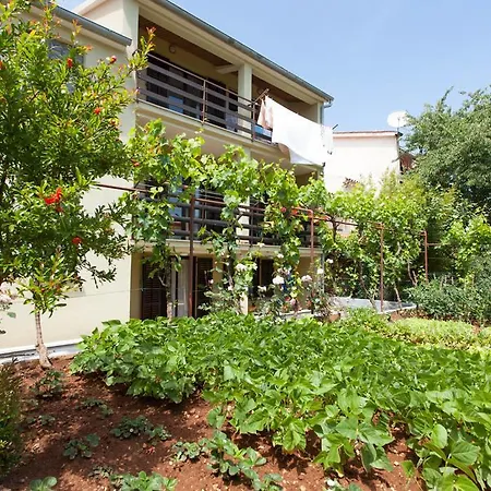 Appartement Oliva